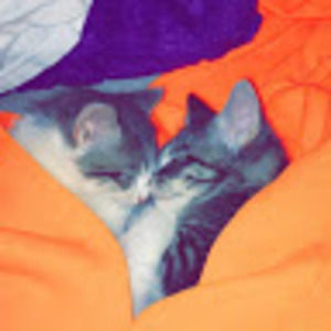 Meet your Posher, Annexis